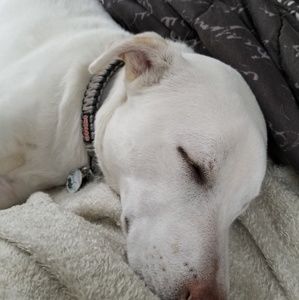 Meet your Posher, Cin